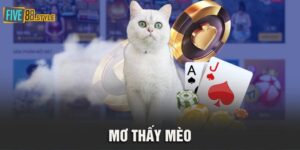 mơ thấy mèo